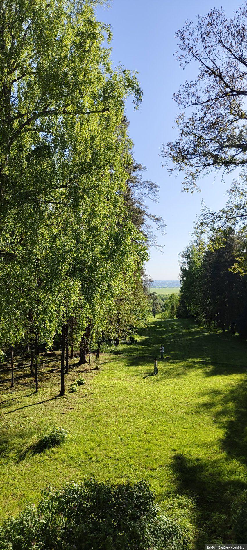 Экскурсия в Поленово ( продолжение)