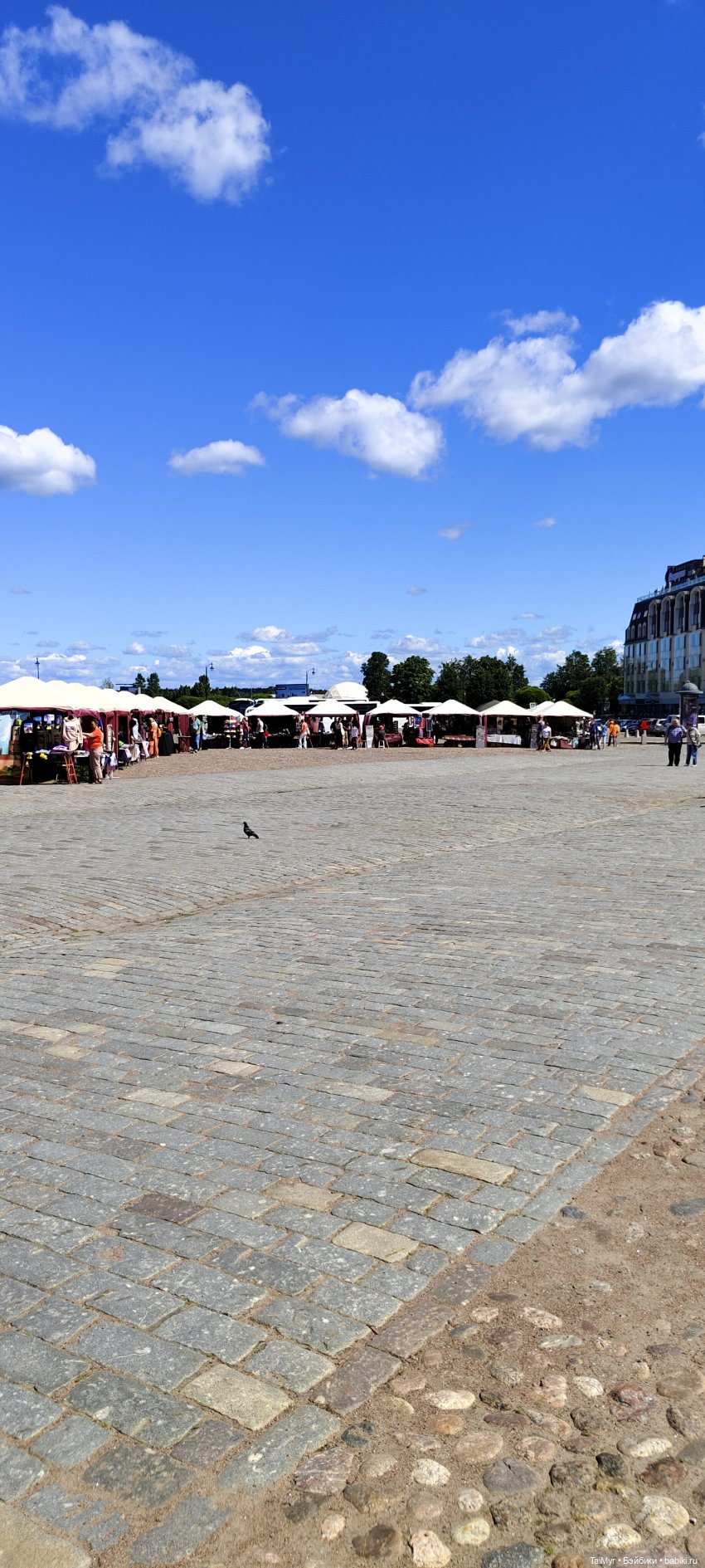 Экскурсия в Выборг — Туризм и путешествия: фотоотчеты из поездок (фото 8)