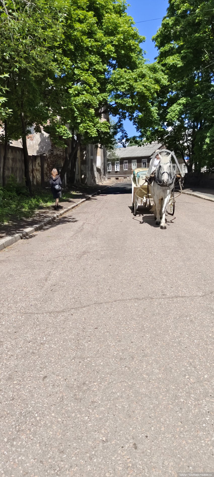 Экскурсия в Выборг — Туризм и путешествия: фотоотчеты из поездок