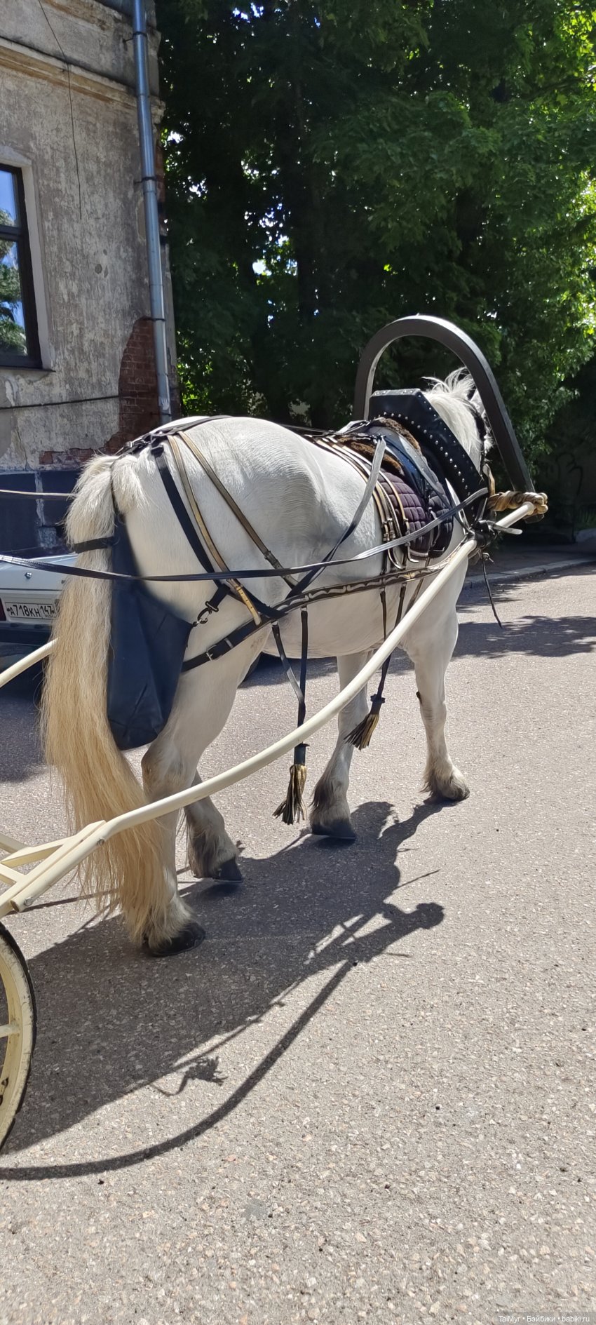 Экскурсия в Выборг — Туризм и путешествия: фотоотчеты из поездок