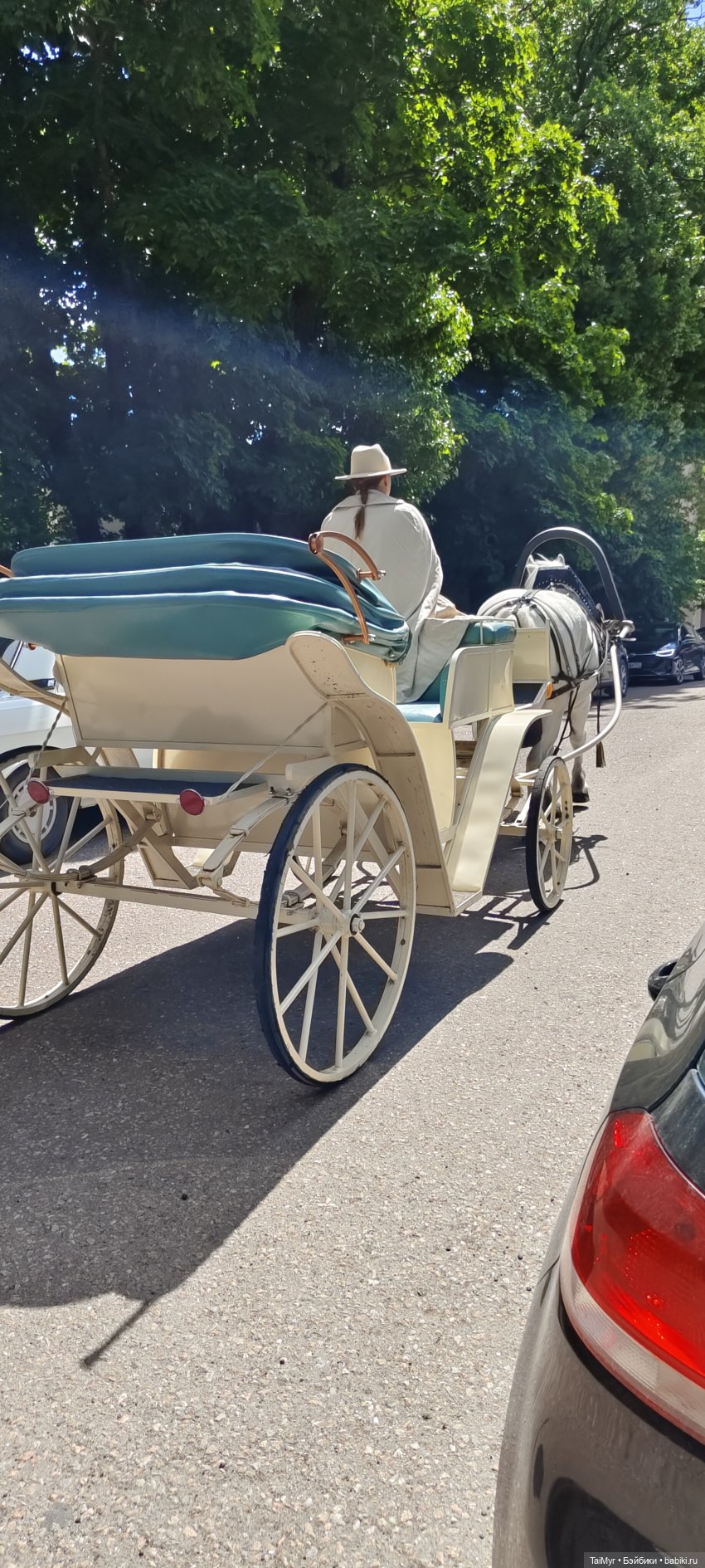 Экскурсия в Выборг — Туризм и путешествия: фотоотчеты из поездок