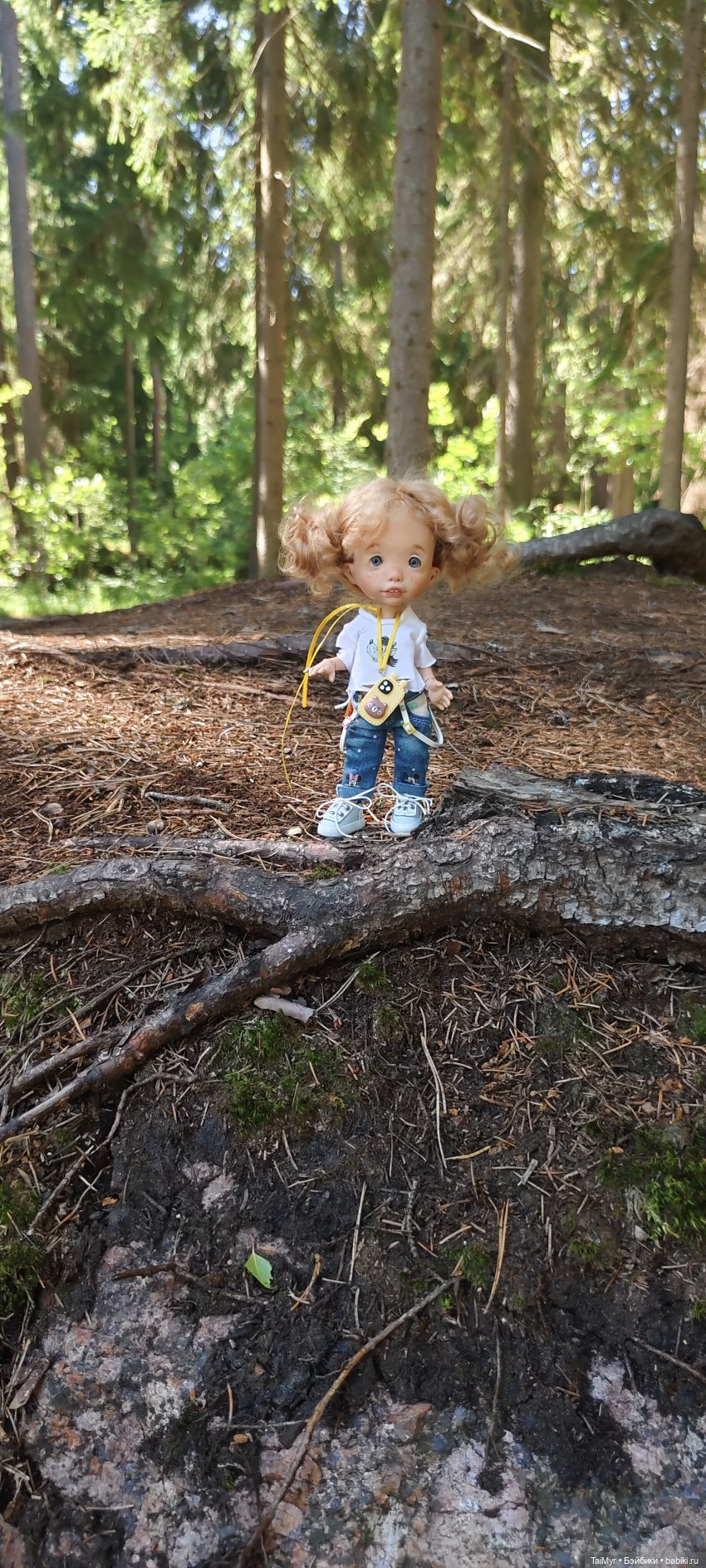 Выборг. Парк Монрепо — Туризм и путешествия: фотоотчеты из поездок