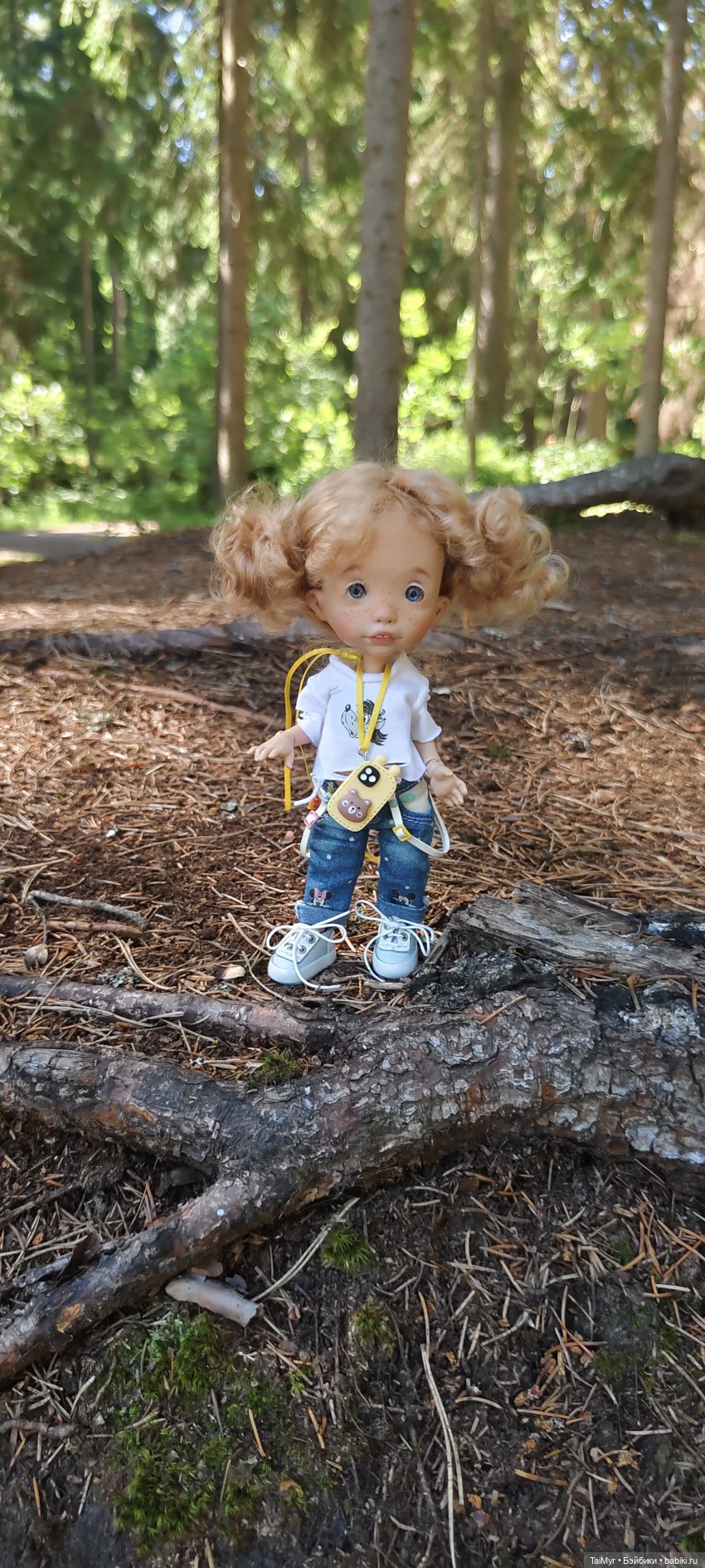 Выборг. Парк Монрепо — Туризм и путешествия: фотоотчеты из поездок