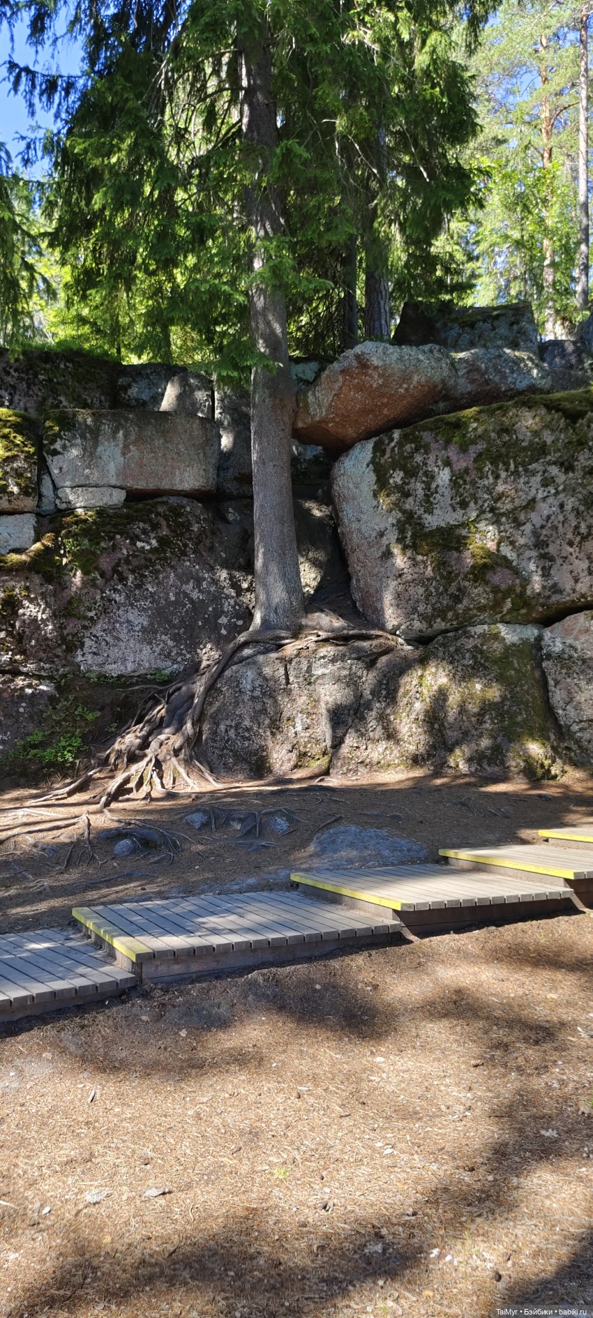 Выборг. Парк Монрепо — Туризм и путешествия: фотоотчеты из поездок