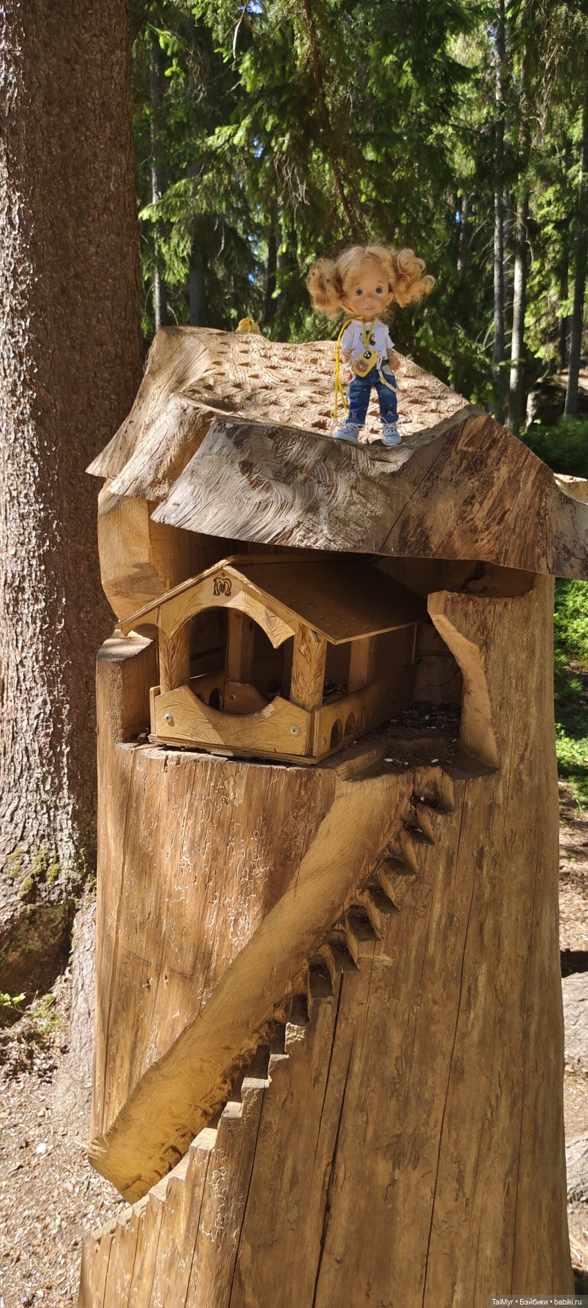 Выборг. Парк Монрепо — Туризм и путешествия: фотоотчеты из поездок