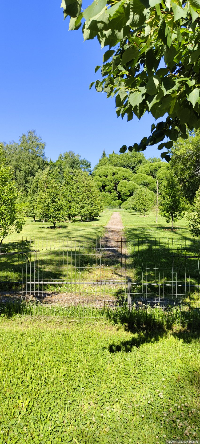 Выборг. Парк Монрепо — Туризм и путешествия: фотоотчеты из поездок (фото 4)