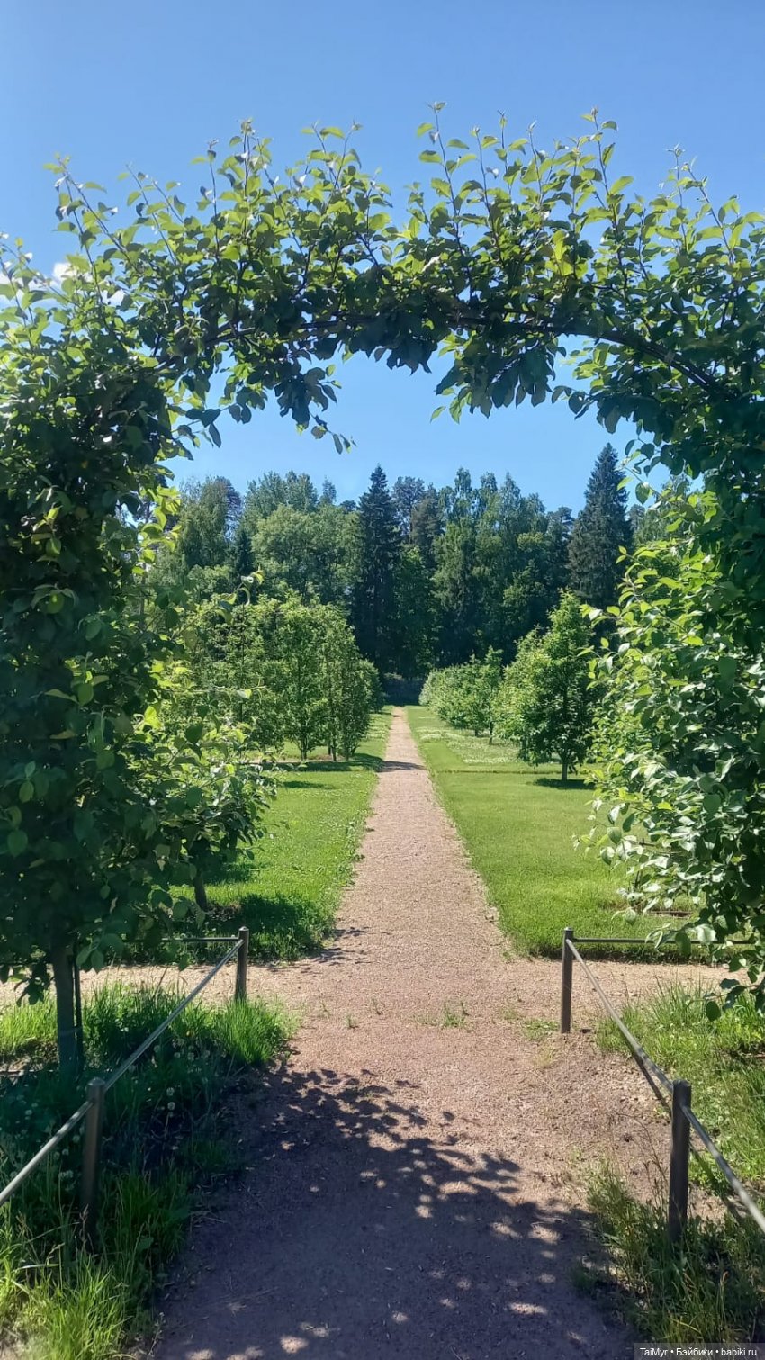 Выборг. Парк Монрепо — Туризм и путешествия: фотоотчеты из поездок