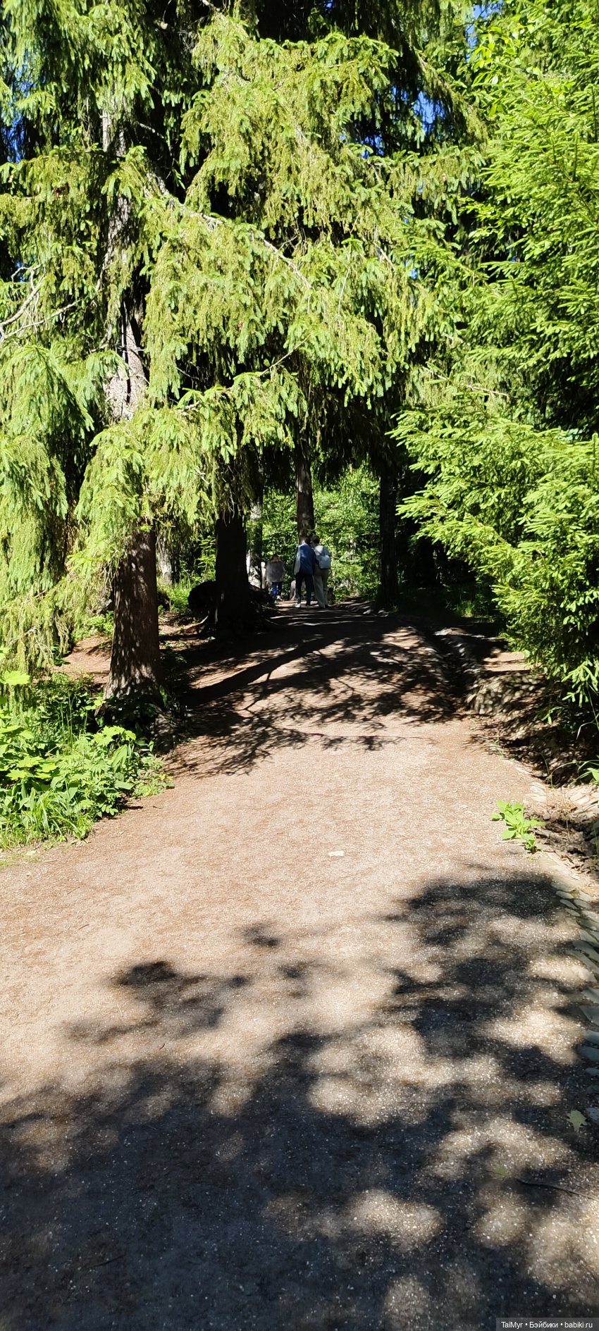 Выборг. Парк Монрепо — Туризм и путешествия: фотоотчеты из поездок