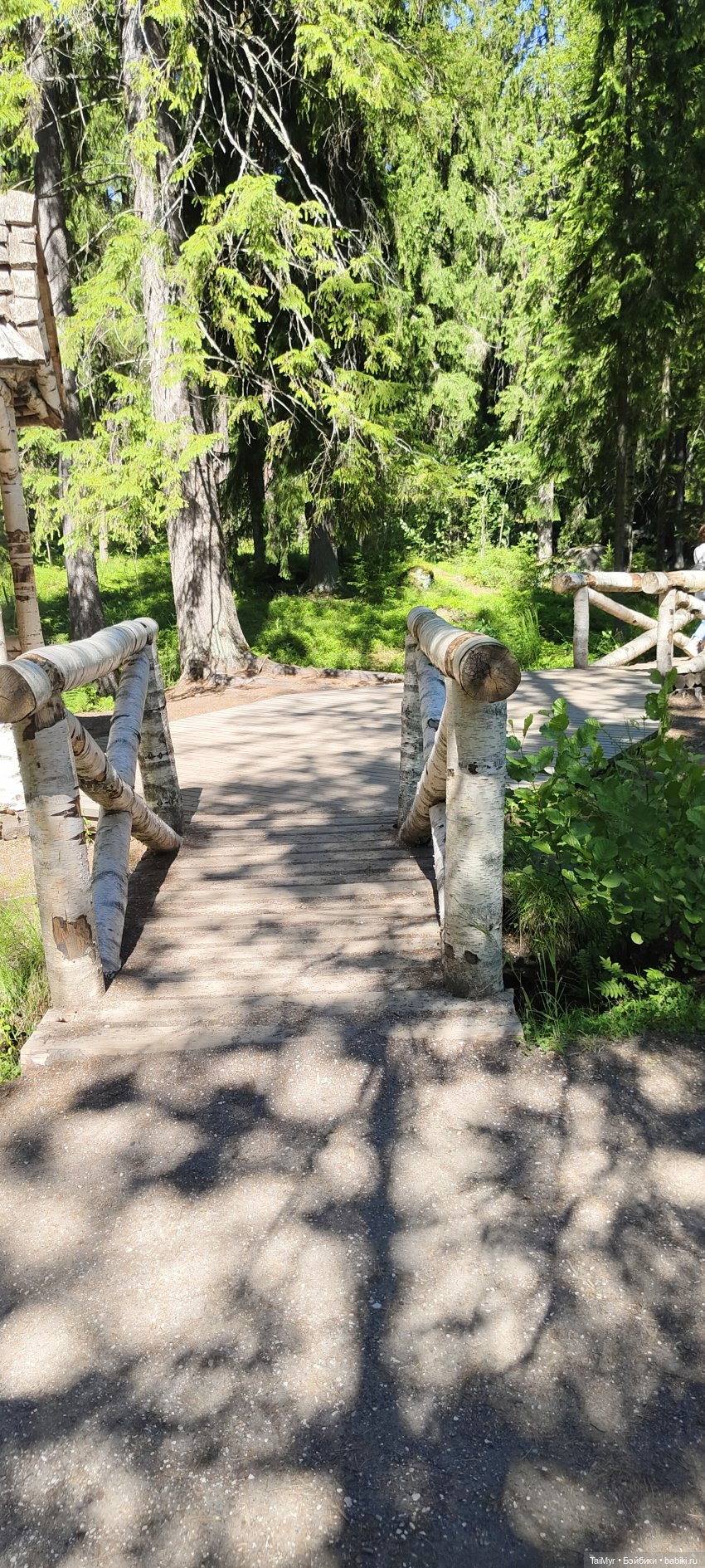 Выборг. Парк Монрепо — Туризм и путешествия: фотоотчеты из поездок