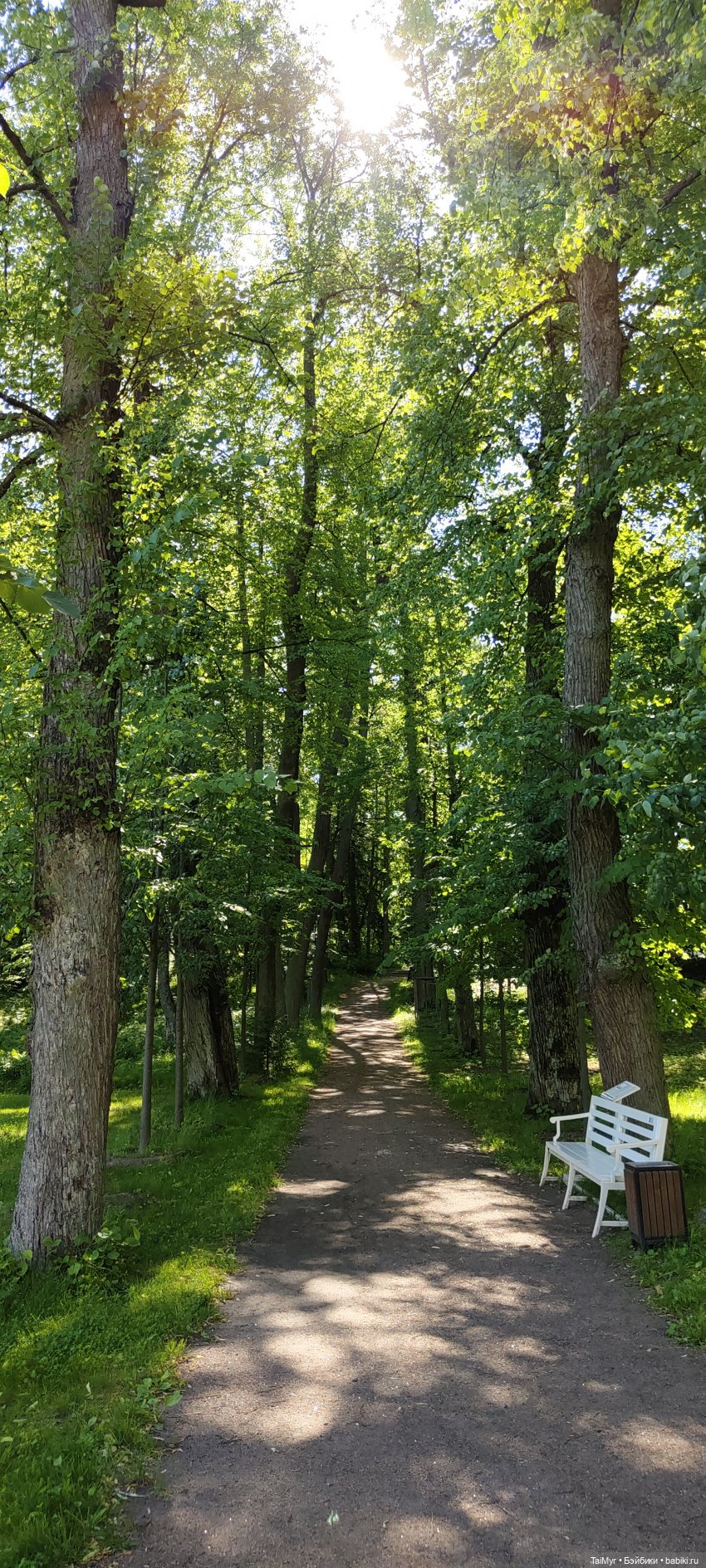 Выборг. Парк Монрепо — Туризм и путешествия: фотоотчеты из поездок (фото 10)