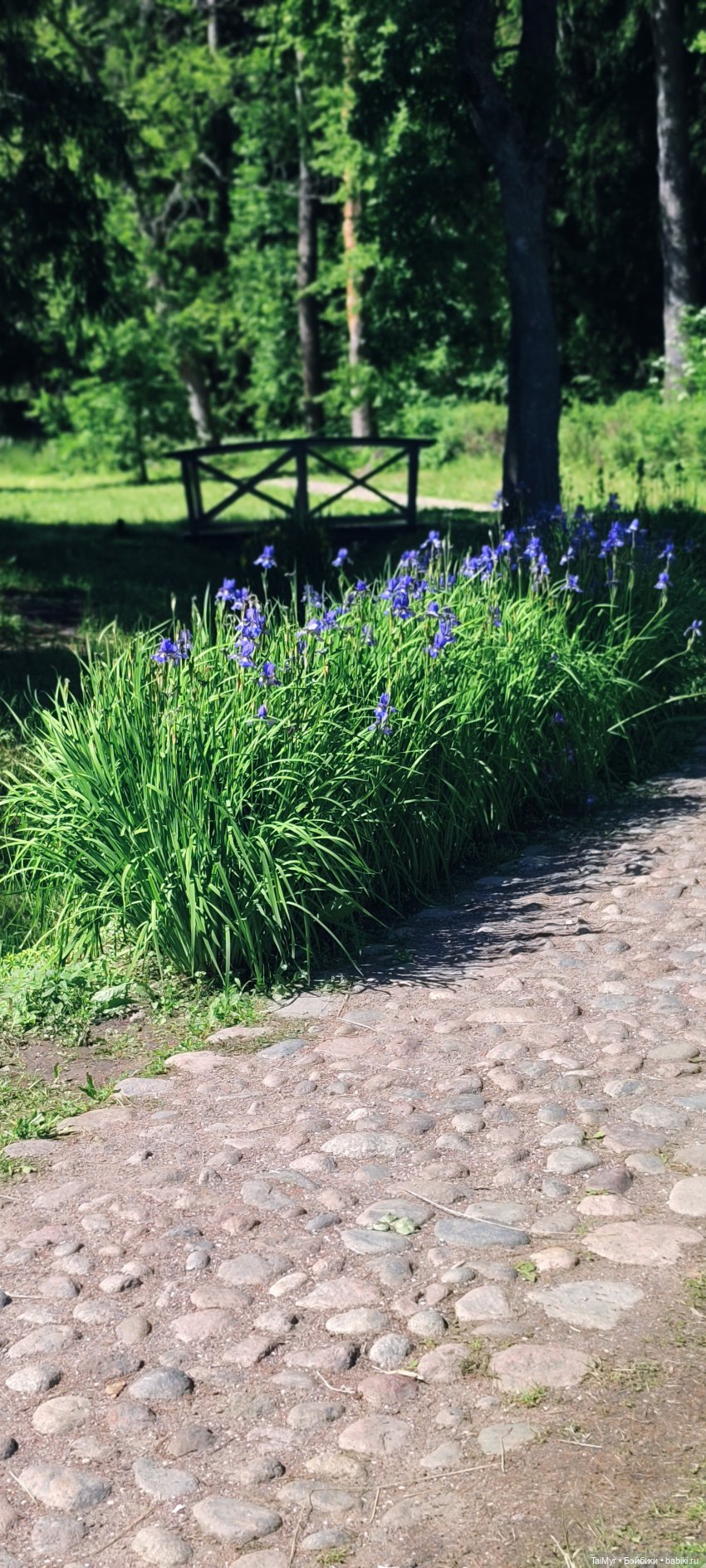 Выборг. Парк Монрепо — Туризм и путешествия: фотоотчеты из поездок
