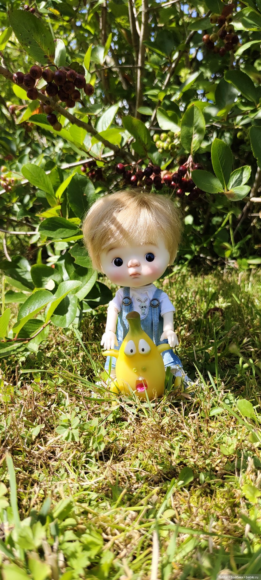 Малышка Китти отдыхает на даче (фото 6)