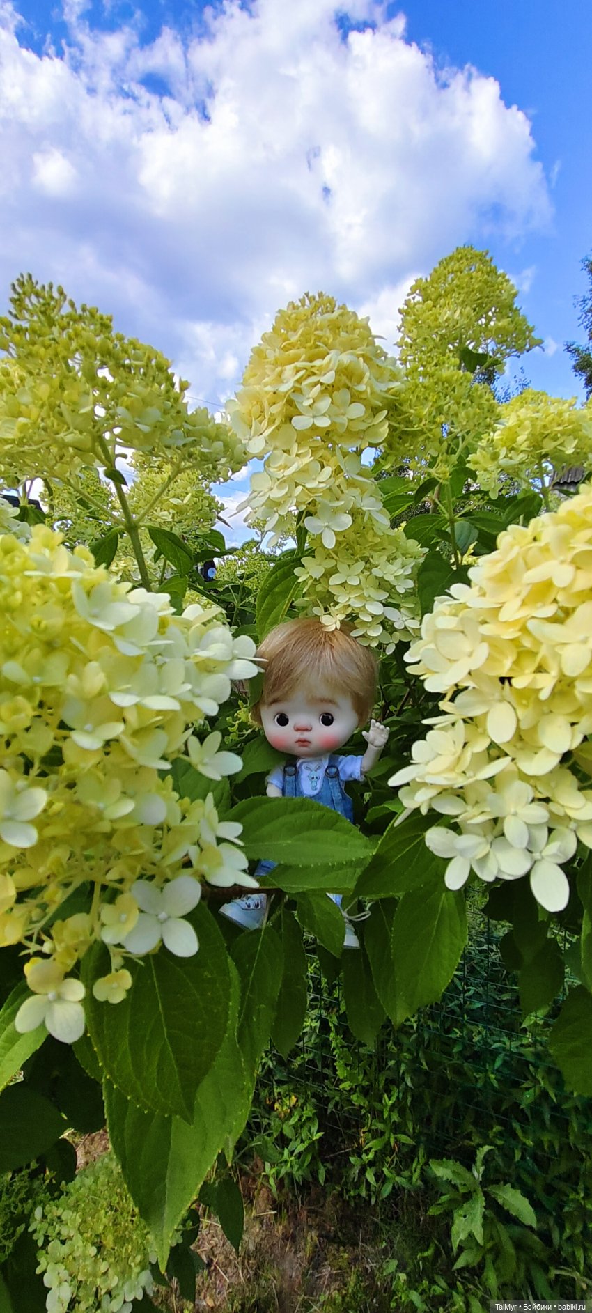 Малышка Китти отдыхает на даче (фото 8)