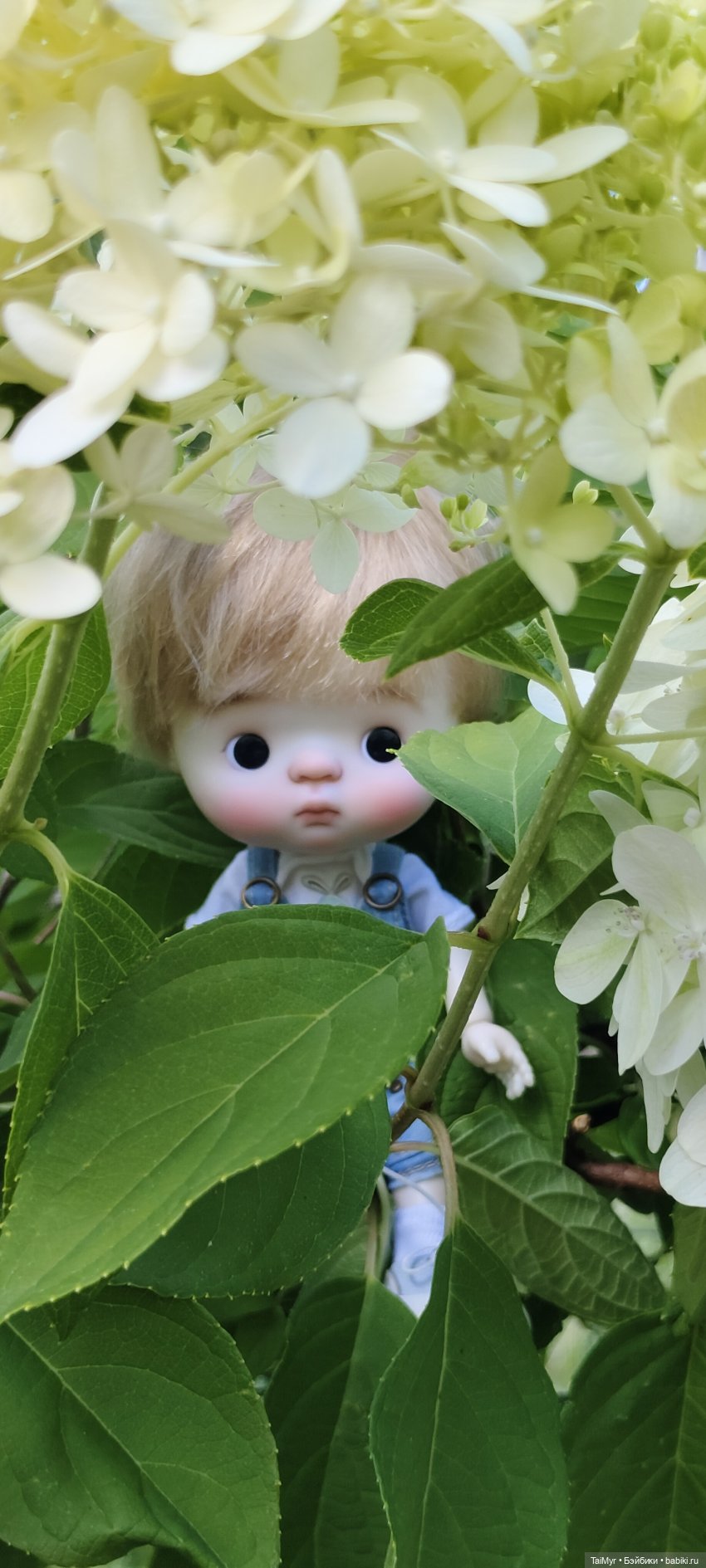 Малышка Китти отдыхает на даче (фото 9)