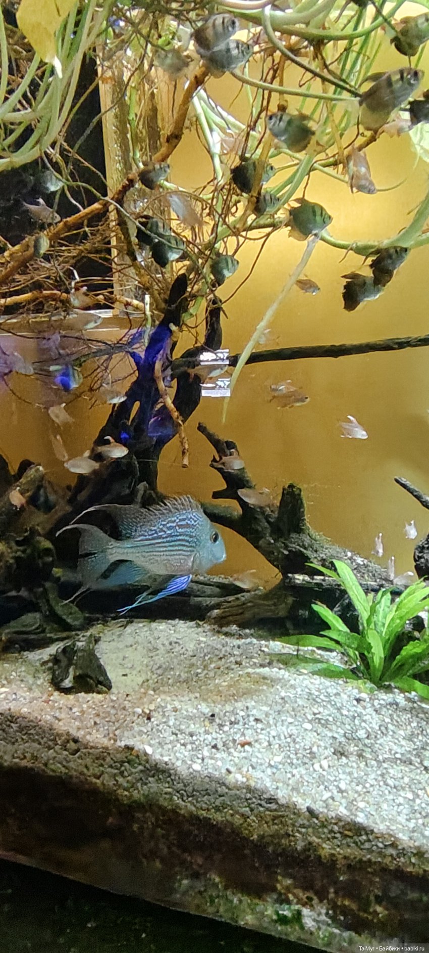 Прогулка по Москванариуму