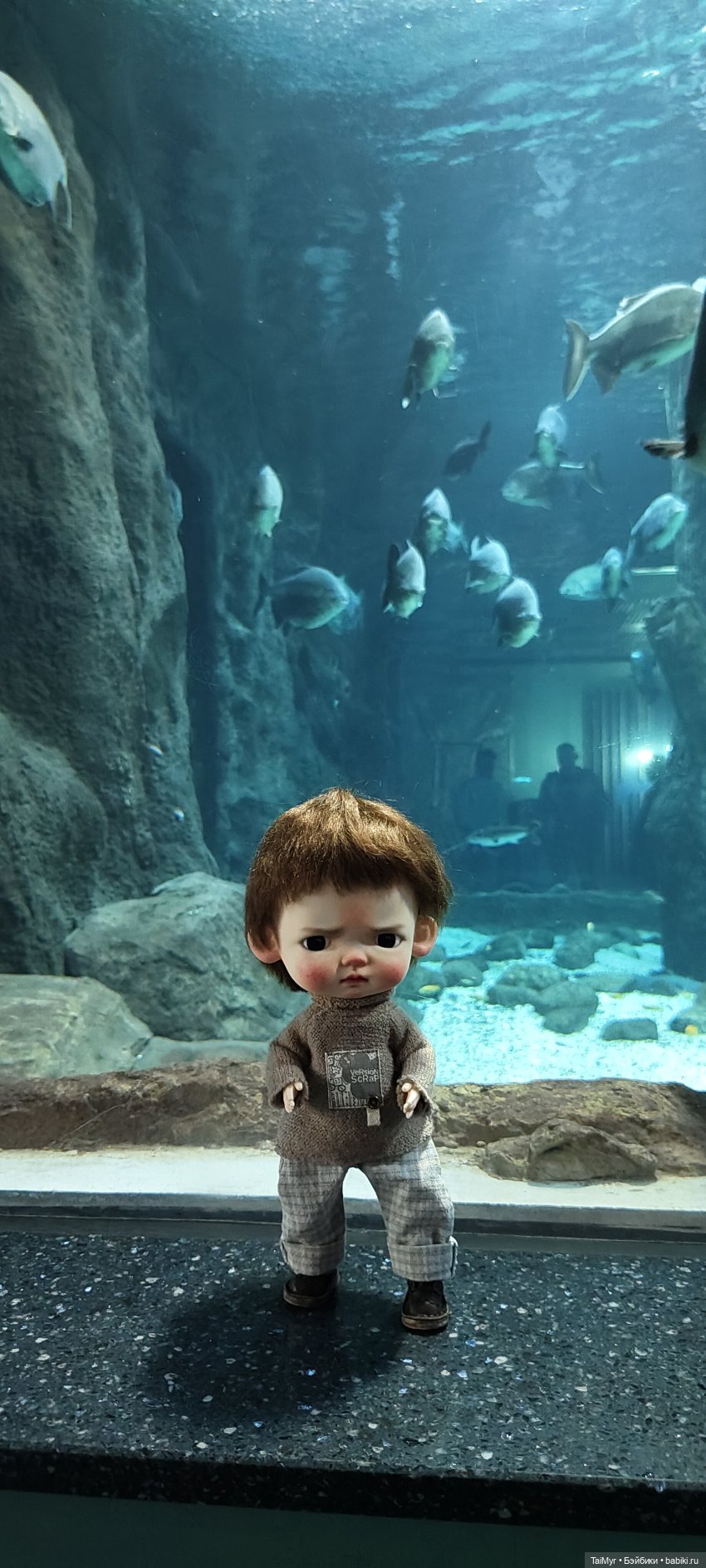 Прогулка по Москванариуму