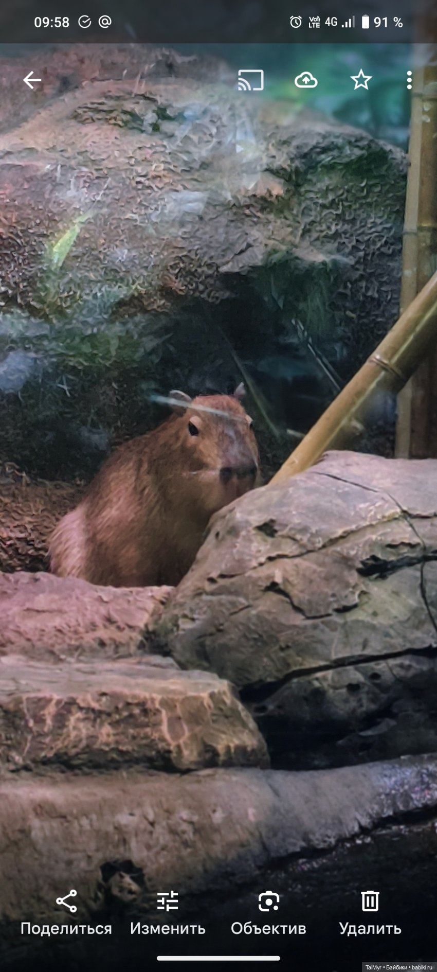 Прогулка по Москванариуму