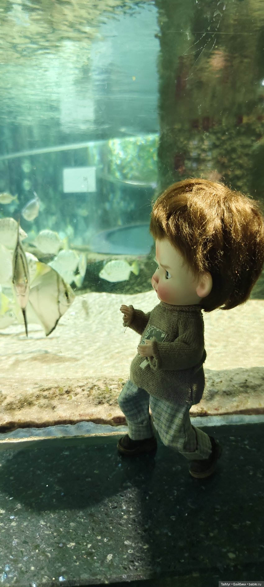 Прогулка по Москванариуму