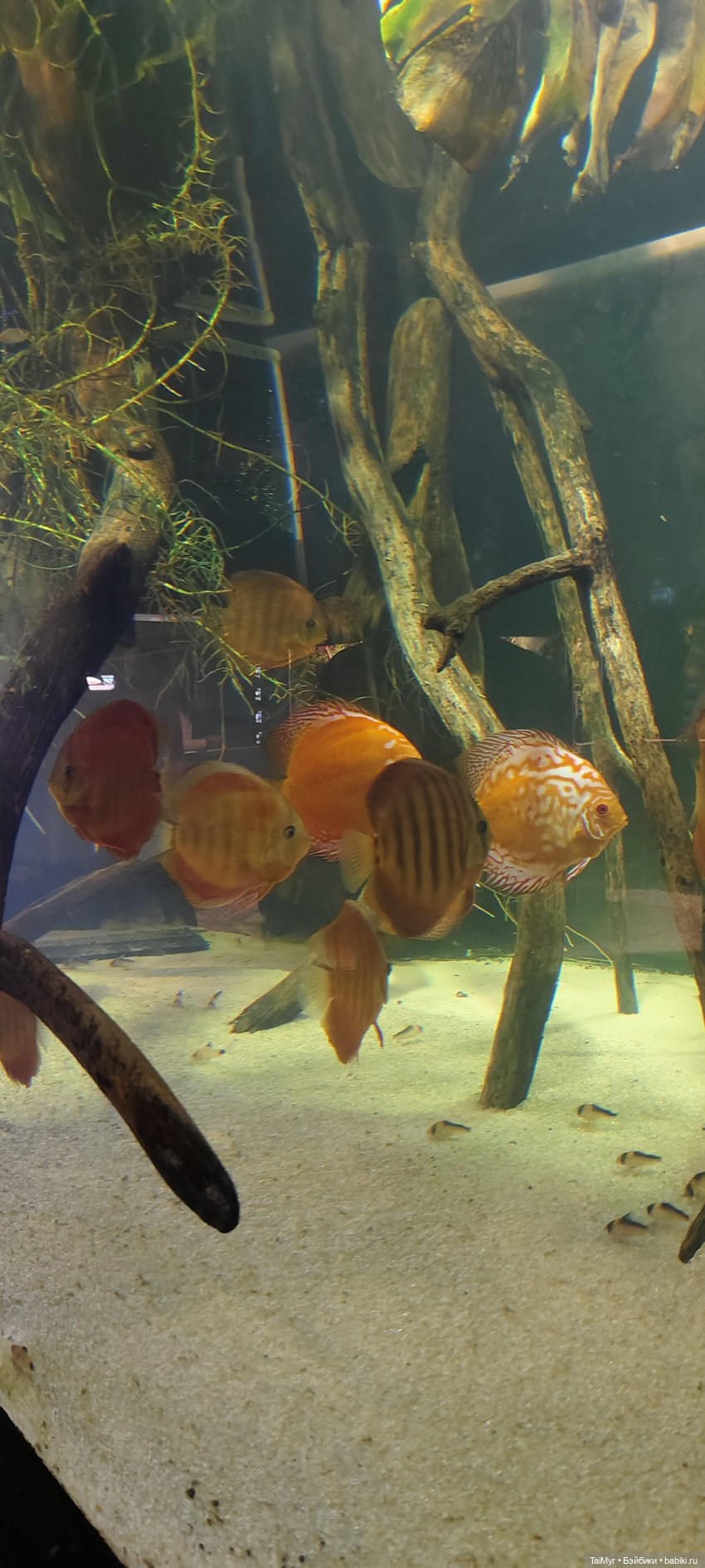 Прогулка по Москванариуму