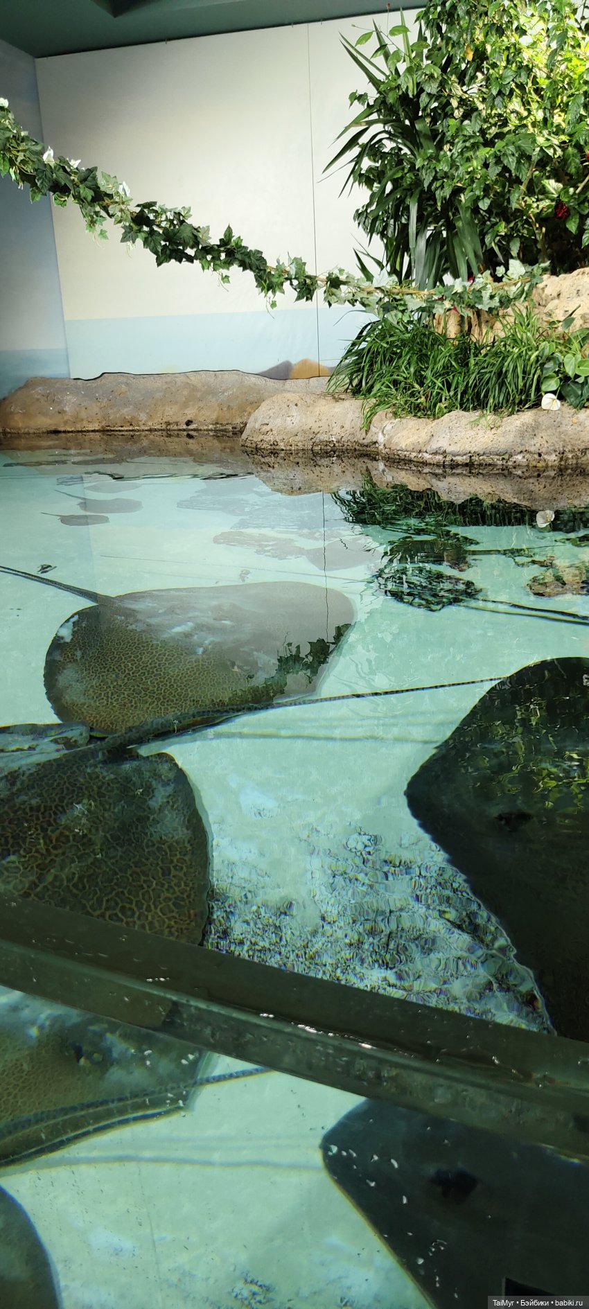 Прогулка по Москванариуму