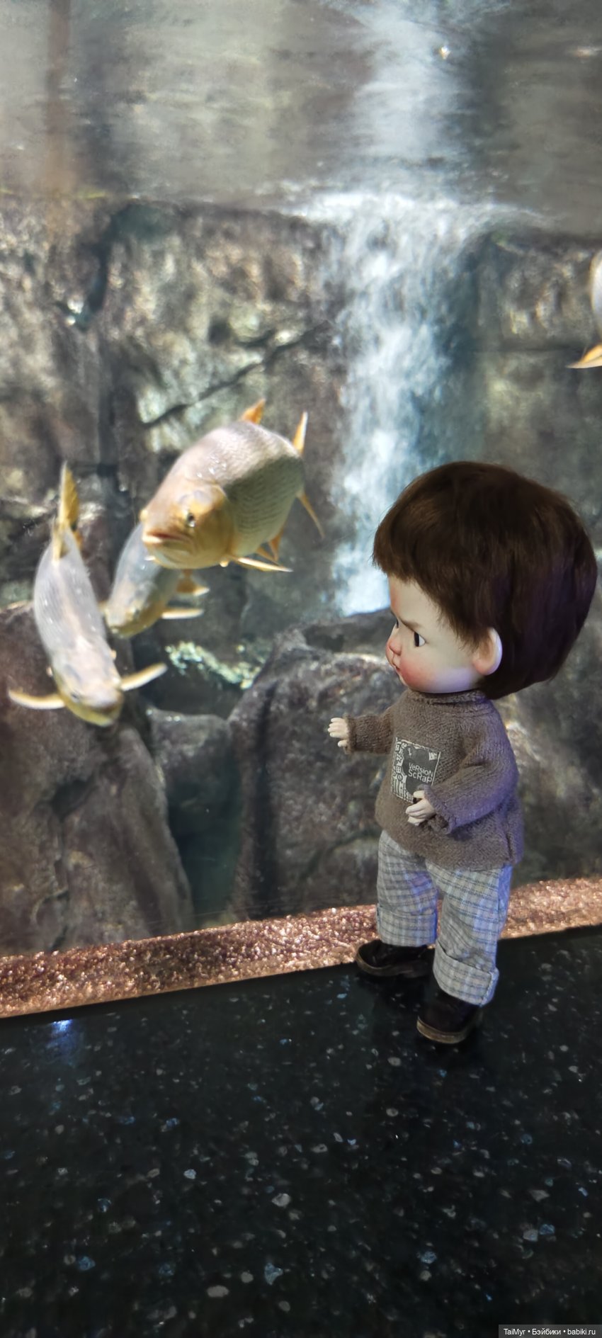 Прогулка по Москванариуму