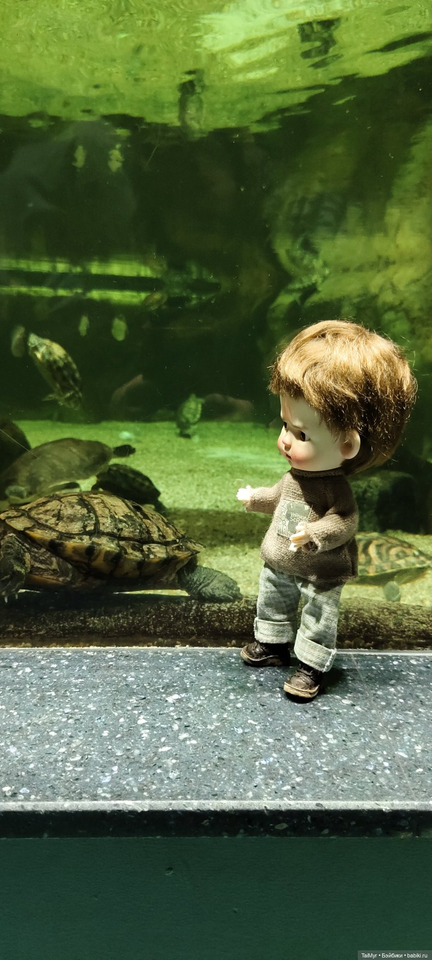 Прогулка по Москванариуму