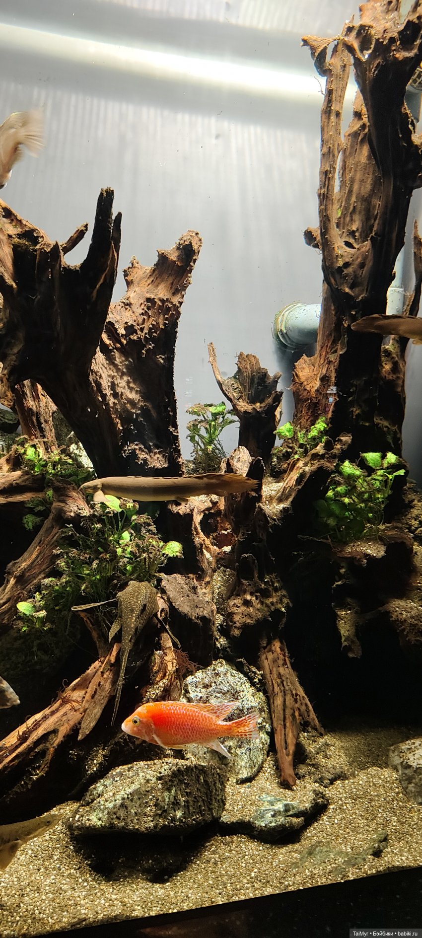 Прогулка по Москванариуму