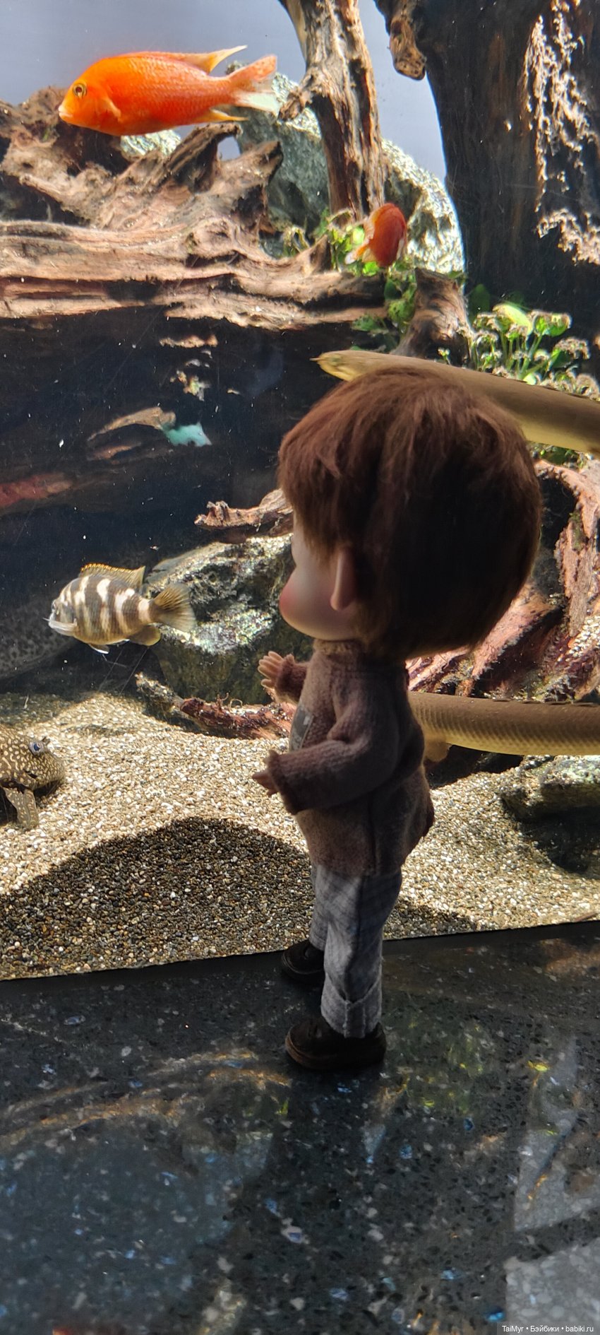 Прогулка по Москванариуму