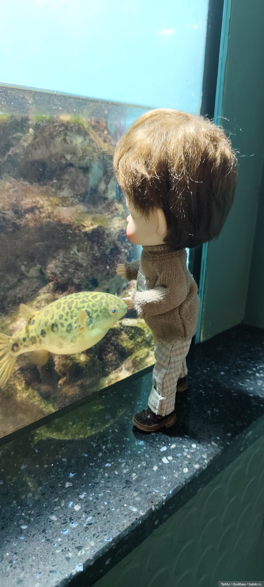 Прогулка по Москванариуму