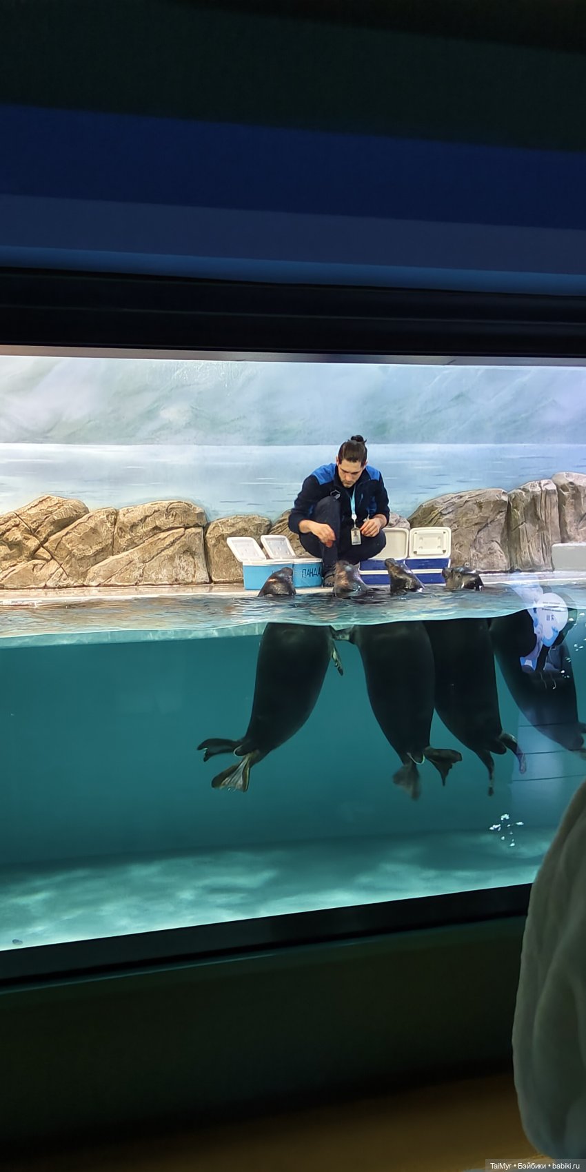 Прогулка по Москванариуму