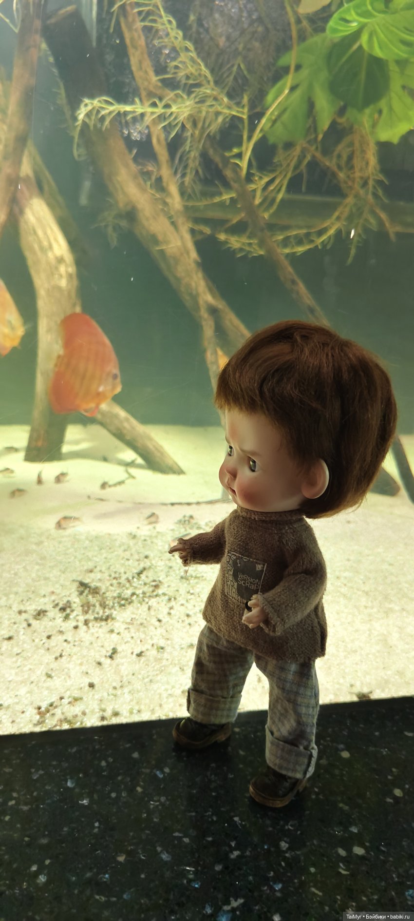 Прогулка по Москванариуму