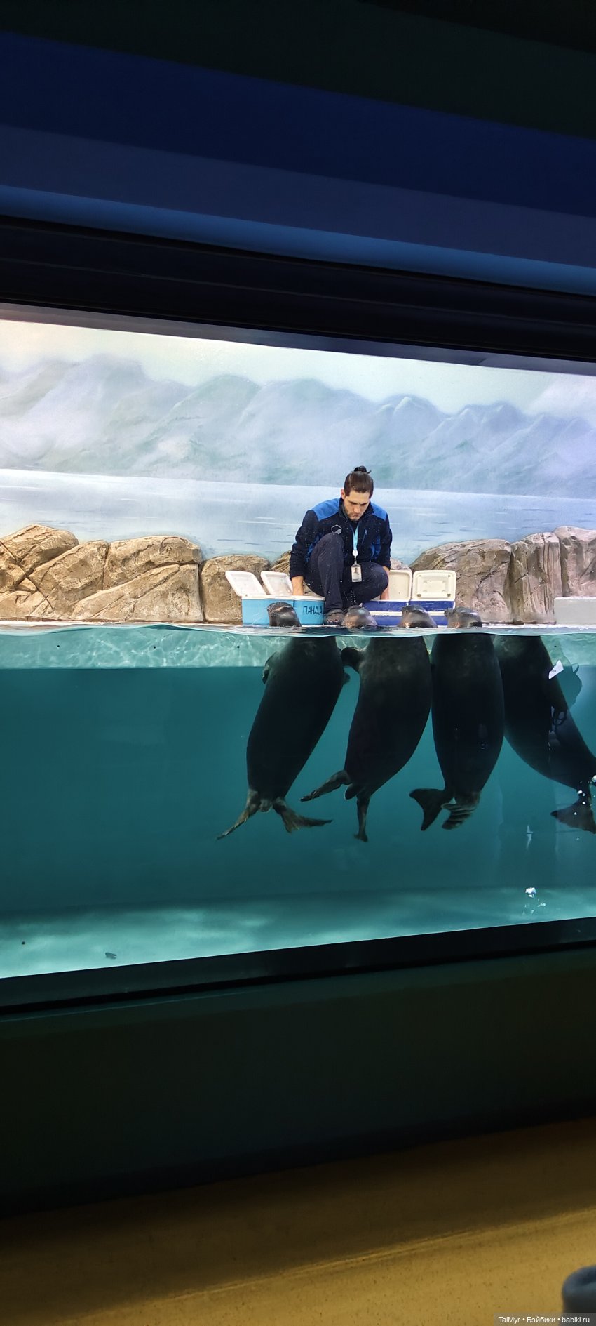 Прогулка по Москванариуму