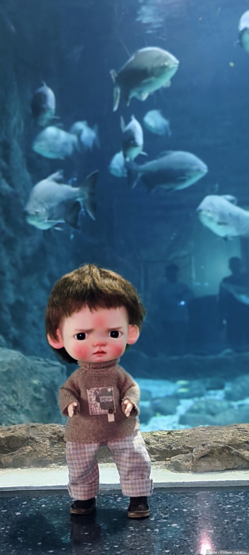 Прогулка по Москванариуму