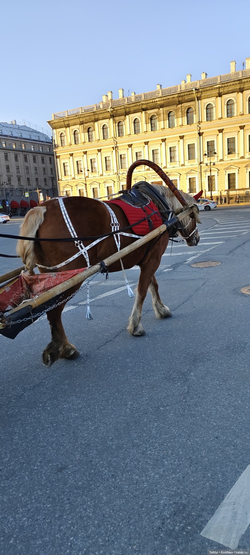 Майские праздники в Питере
