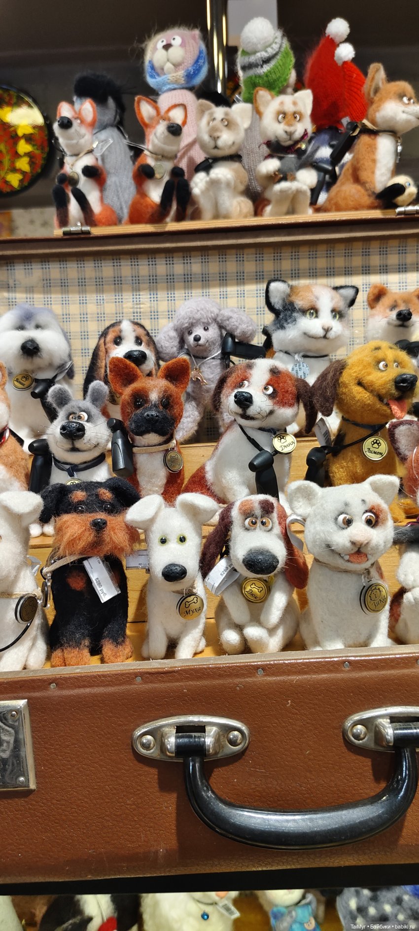 Майские праздники в Питере