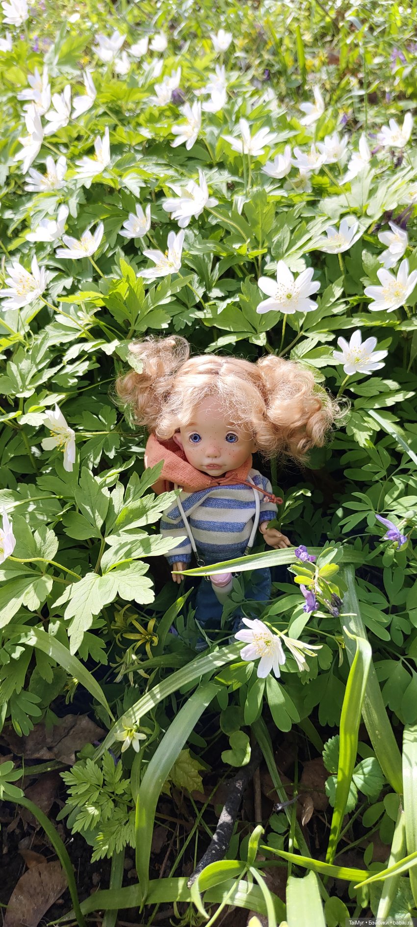 Мы едем в Петергоф — Туризм и путешествия: фотоотчеты из поездок