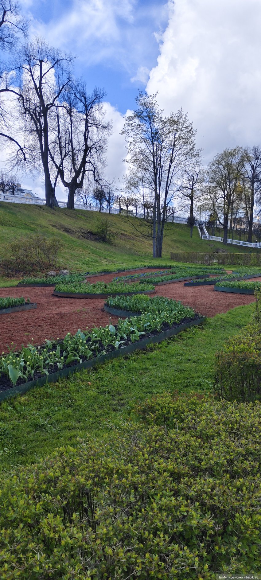 Мы едем в Петергоф — Туризм и путешествия: фотоотчеты из поездок
