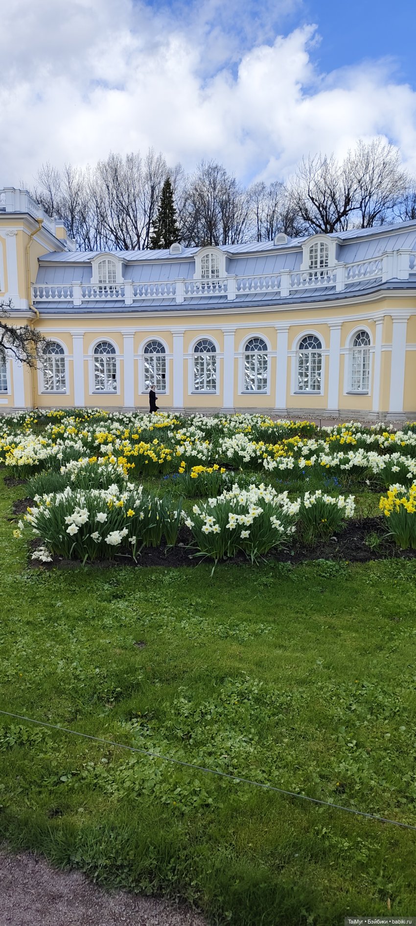 Мы едем в Петергоф — Туризм и путешествия: фотоотчеты из поездок