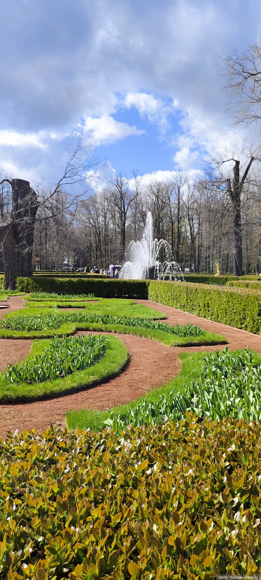 Мы едем в Петергоф — Туризм и путешествия: фотоотчеты из поездок (фото 8)