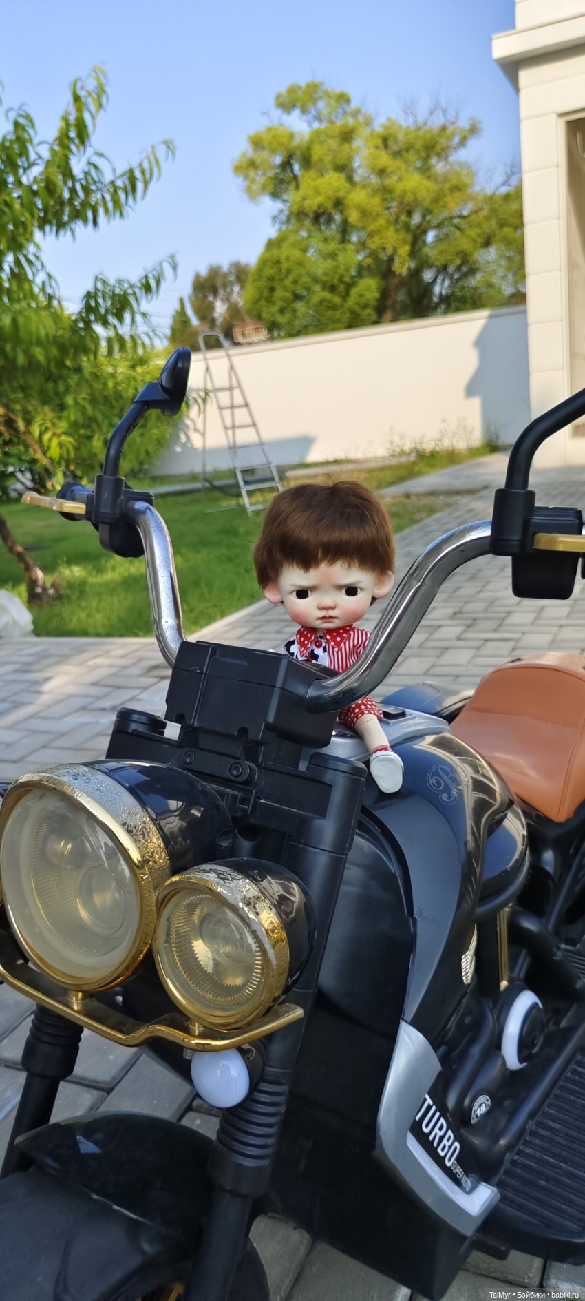 Пашка едет на море( часть 2)