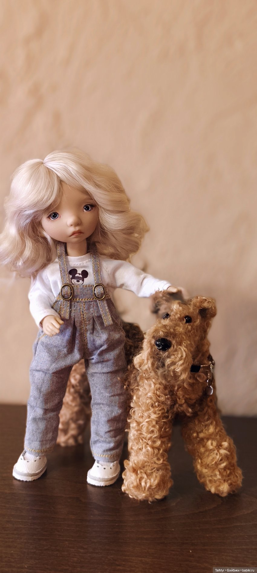Новый питомец — Куклы Tafidolls (Татьяна Филенко): российские BJD (БЖД) (фото 2)