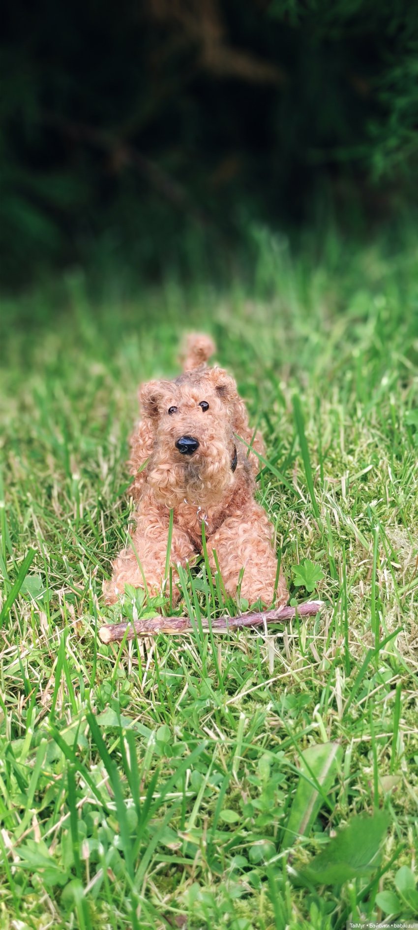 Рекс отдыхает на даче — Авторские игрушки из разных материалов: синельная проволока (фото 5)