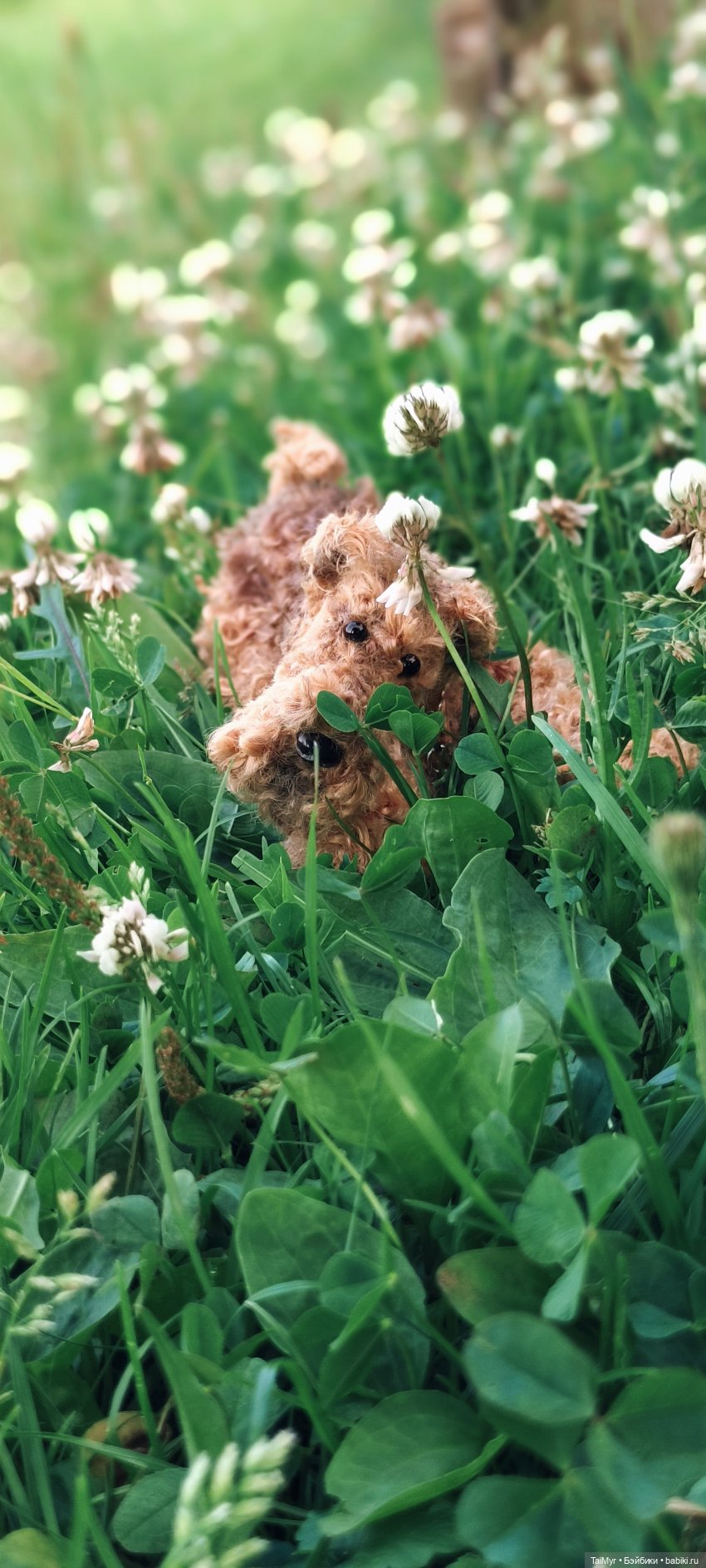 Рекс отдыхает на даче — Авторские игрушки из разных материалов: синельная проволока (фото 7)