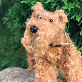 Рекс отдыхает на даче