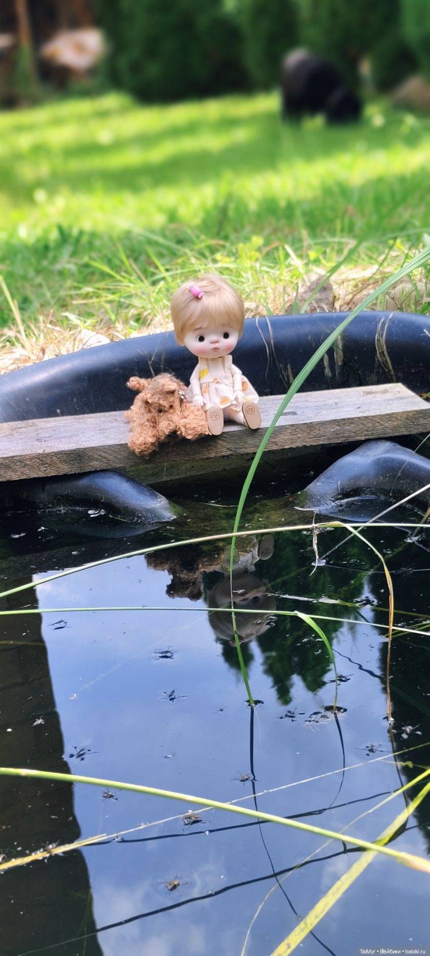 Китти и Рекс — Куклы Qbaby (Кьюбейби) Rodgerdoll: для тела Ob11