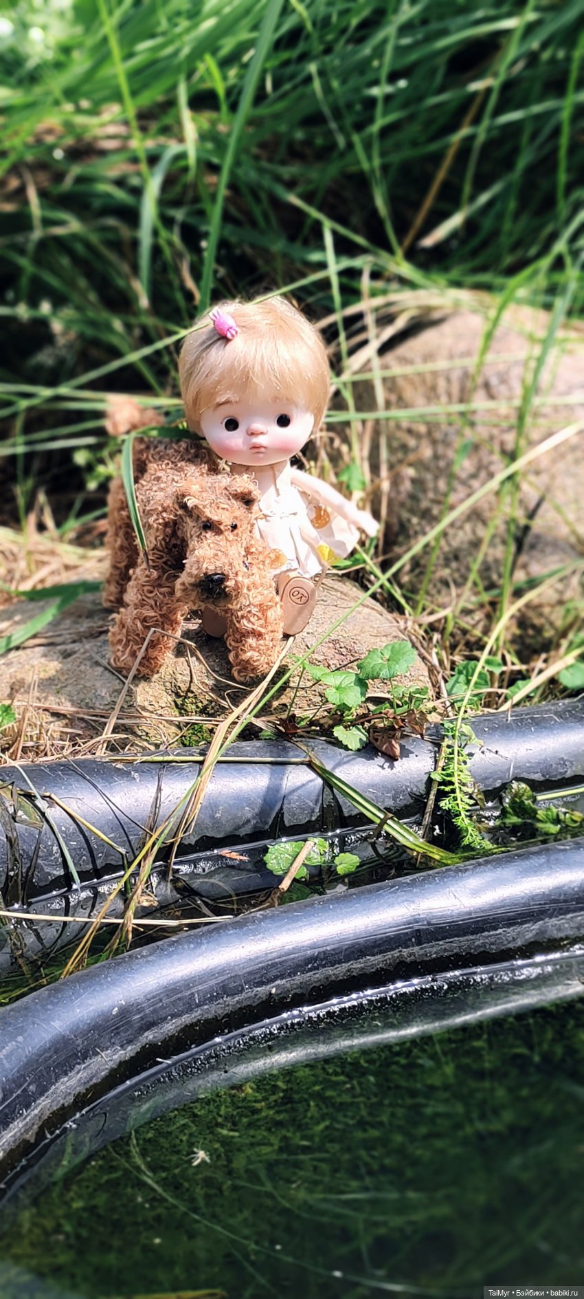 Китти и Рекс — Куклы Qbaby (Кьюбейби) Rodgerdoll: для тела Ob11