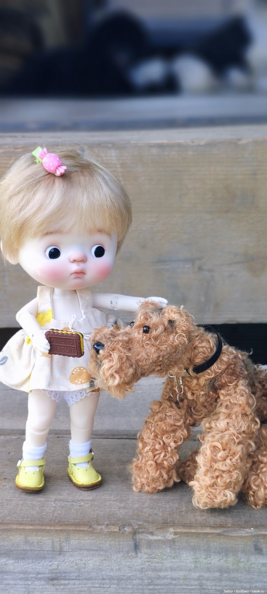 Китти и Рекс — Куклы Qbaby (Кьюбейби) Rodgerdoll: для тела Ob11 (фото 7)