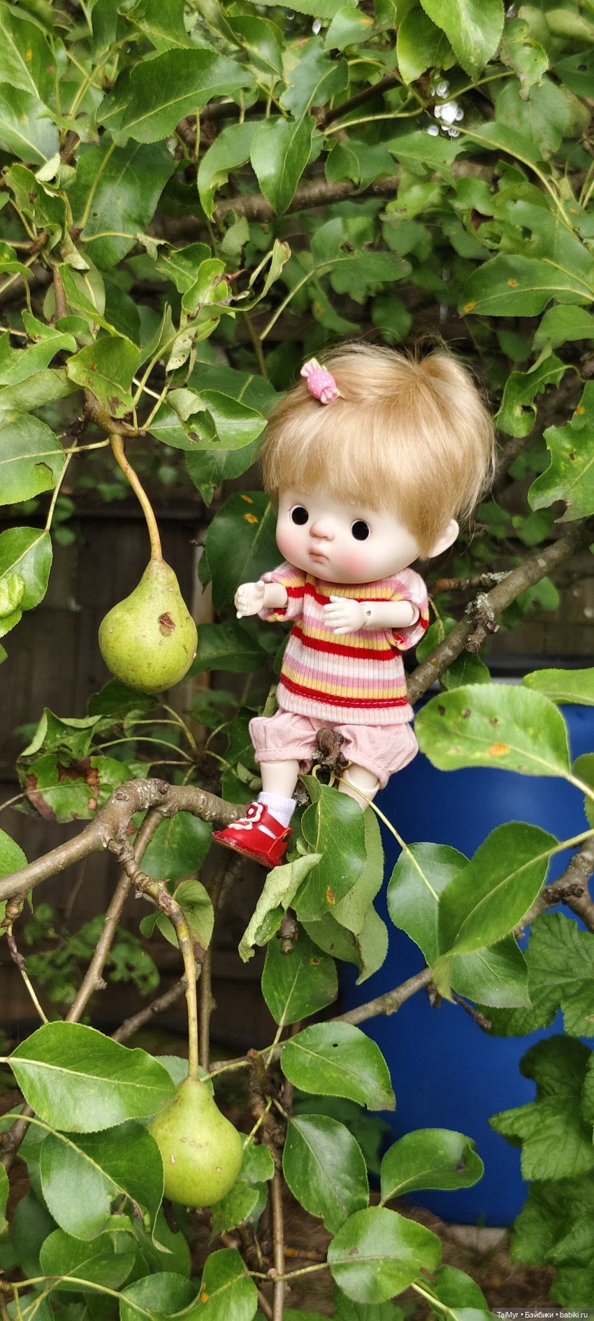 Китти на даче — Куклы Qbaby (Кьюбейби) Rodgerdoll: для тела Ob11 (фото 10)