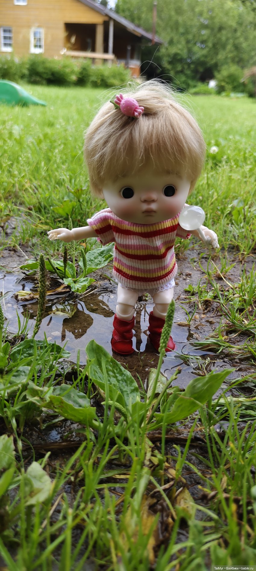 Китти на даче — Куклы Qbaby (Кьюбейби) Rodgerdoll: для тела Ob11 (фото 4)