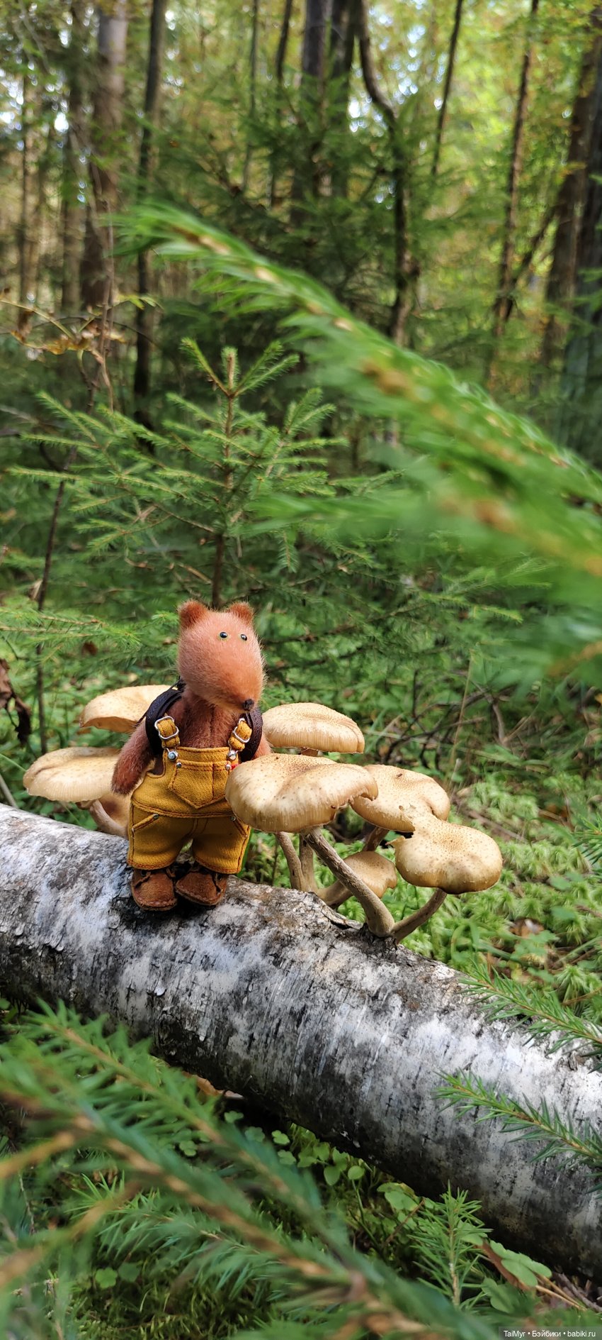 Тихая охота — Домашние фото авторских игрушек: Тедди